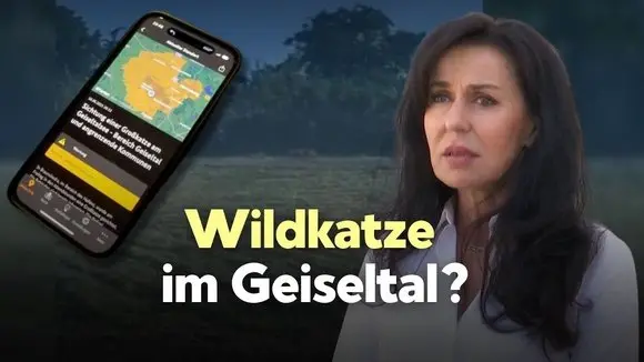 Wildkatze im Geiseltal? Video von mutmaßlichem Raubtier hält Behörden in Atem