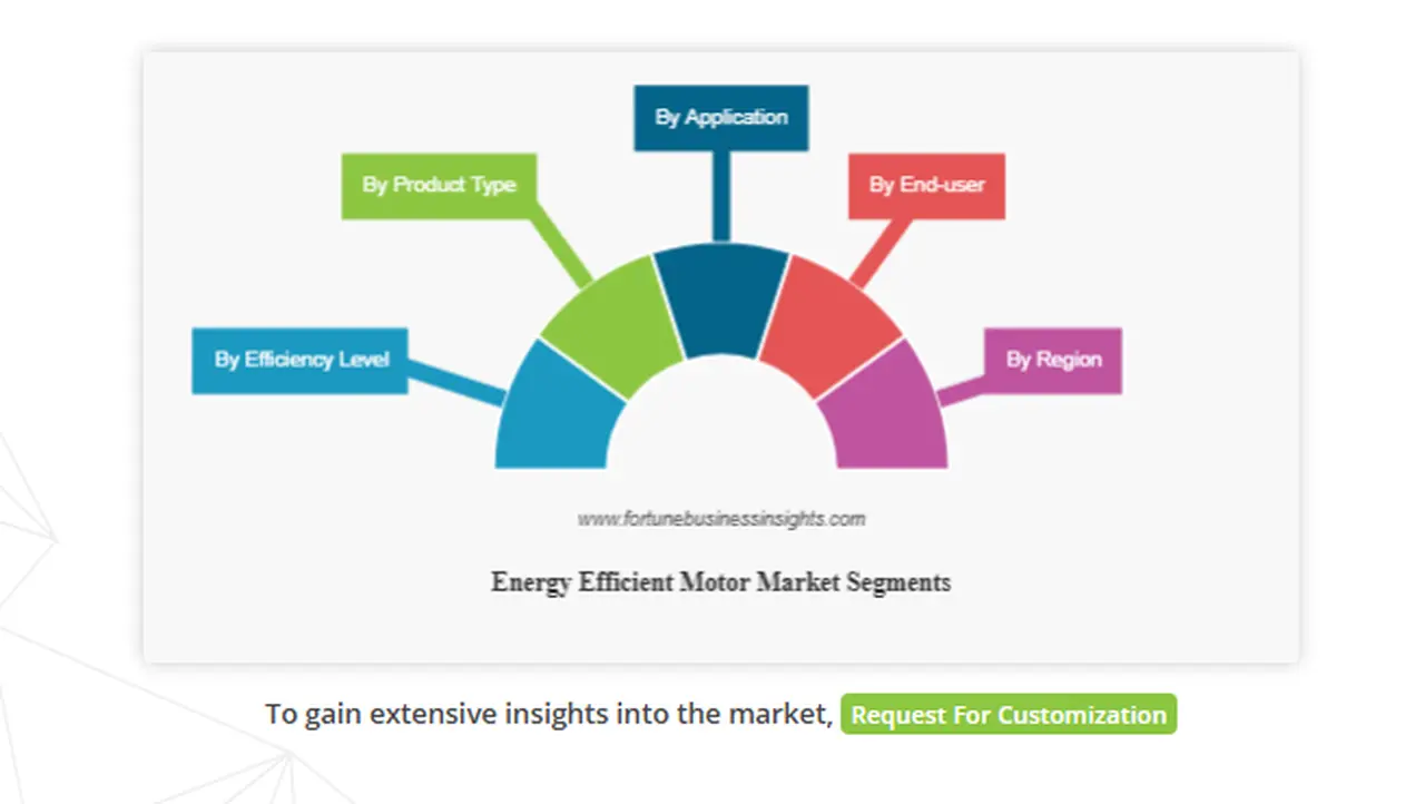 Global Energy Efficient Motor Market Forecast 2025: Expert Insights and Strategic Planning
