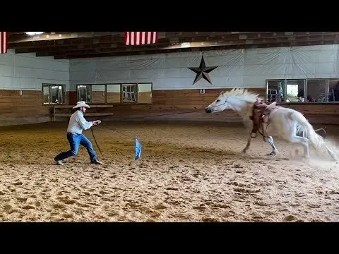We Have to Shorten his Flight Response or We're gonna get Bucked Off