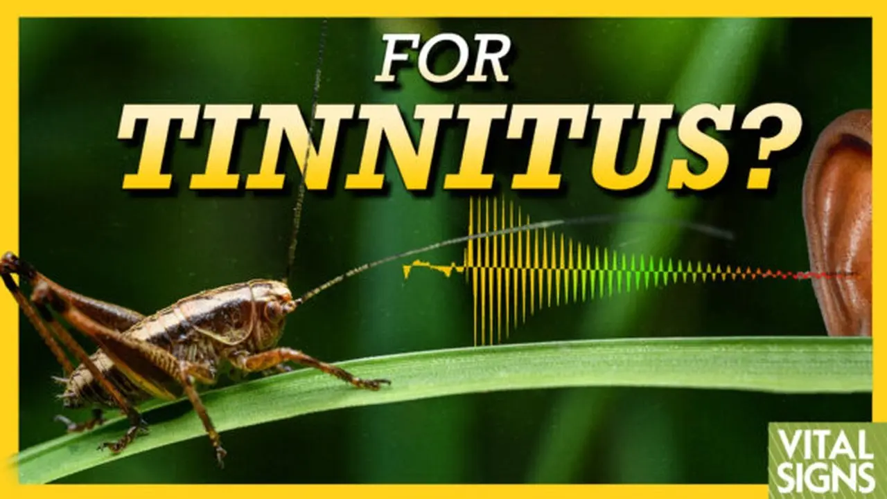 Two Very Different Tinnitus Treatments: Vitamin B12 and Crickets｜Vital Signs