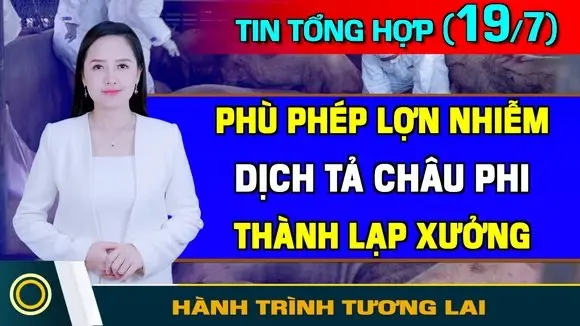 Tin Tổng Hợp (19/7): Có Biến Ở Biên Giới Campuchia -Thái Lan, 3 Binh Sĩ Bị Thương. Phù Phép Lợn Bệnh