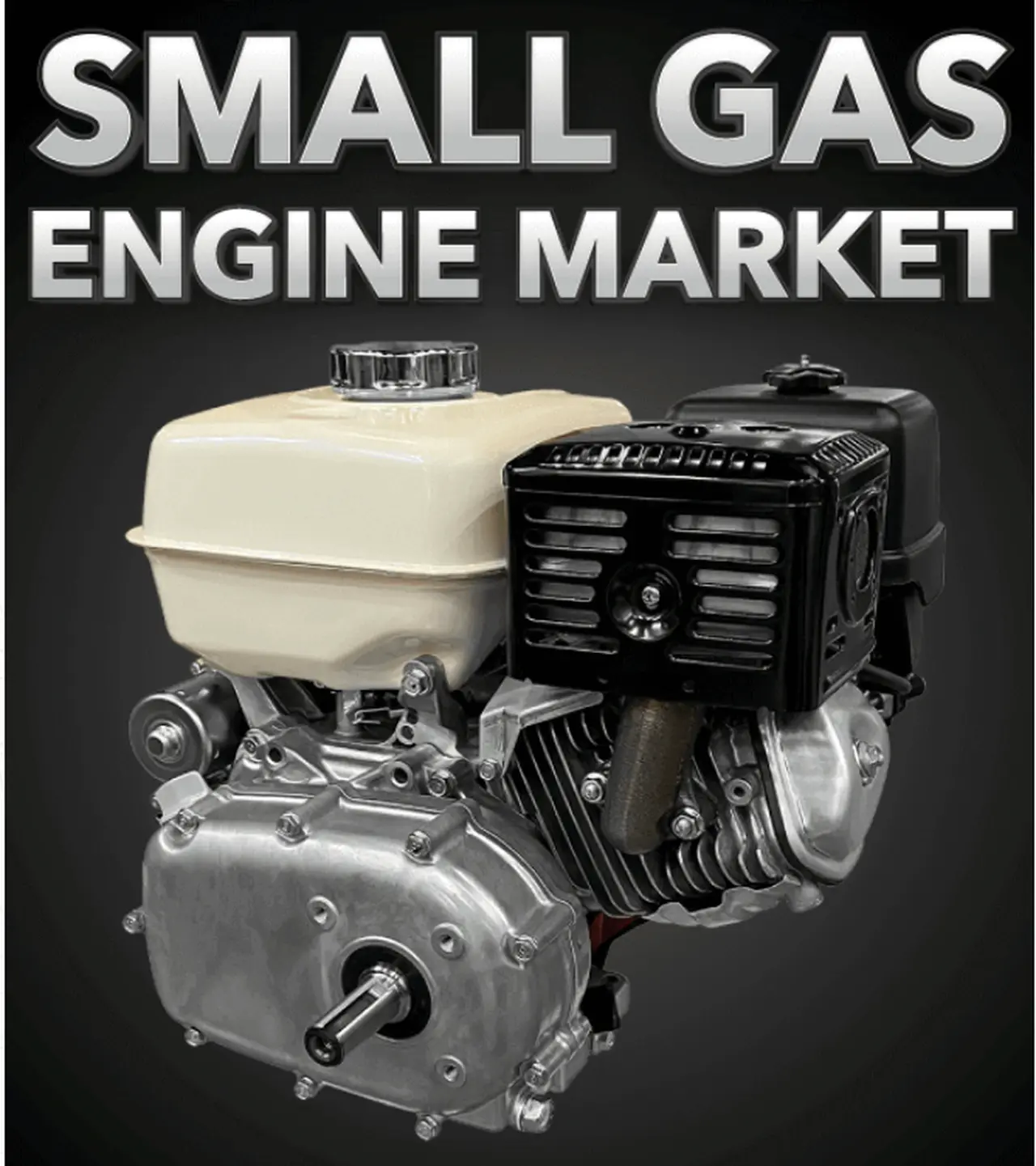 Detailed Small Gas Engines Market Segmentation: Growth by Product, Application, and Region (2025-2032)