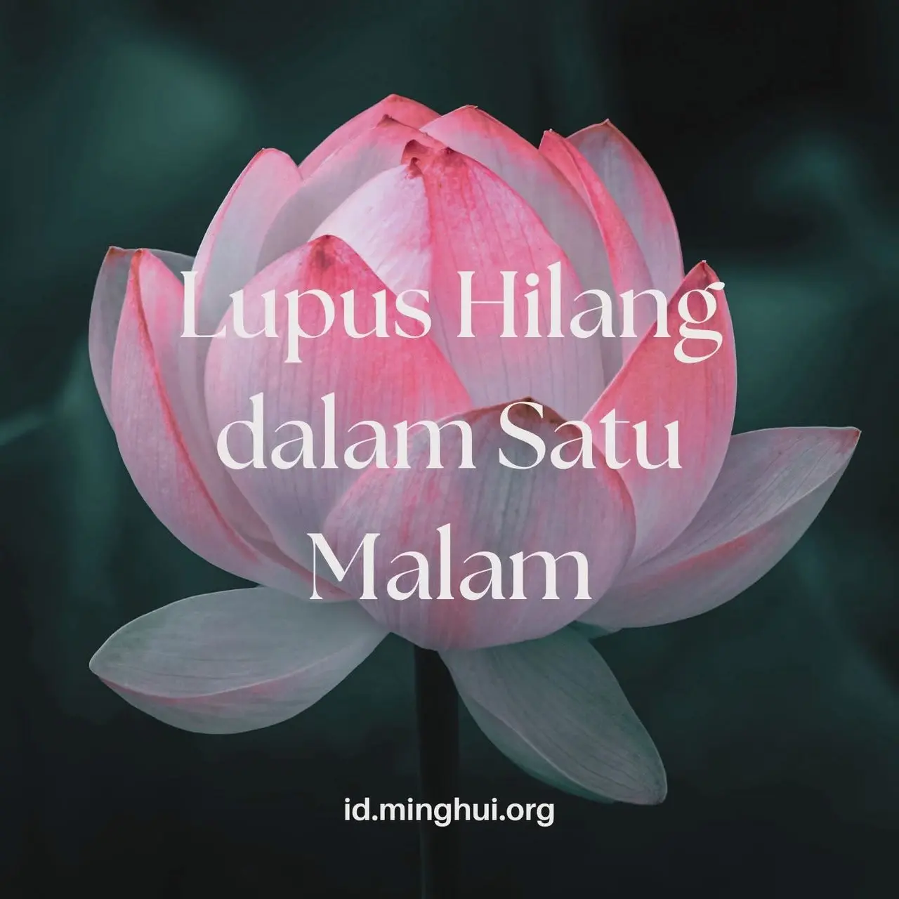 Lupus Hilang dalam Semalam