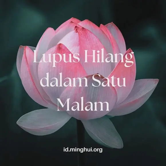 Lupus Hilang dalam Semalam