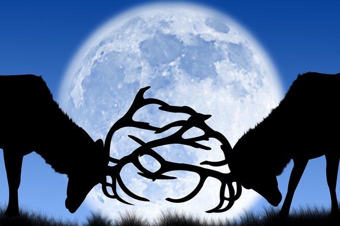 Don’t Miss July’s Rust-Red Buck Moon — What It Means and When to See It