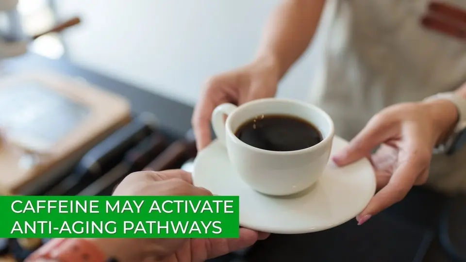 Caffeine May Activate Anti-Aging Pathways