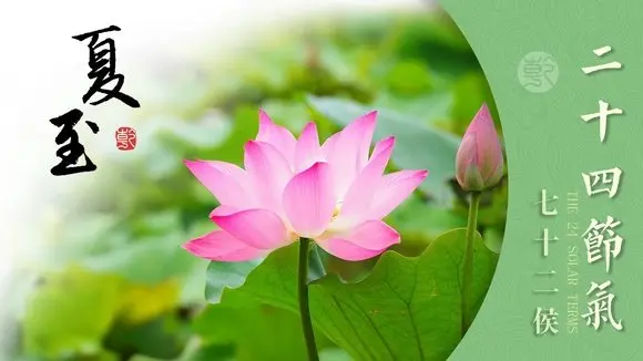 夏至#二十四節氣七十二候