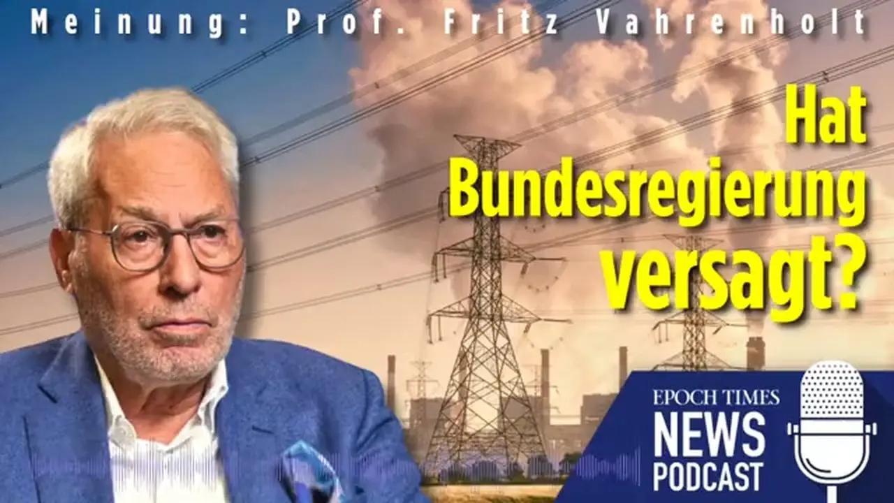 Fritz Vahrenholt: Hat die Bundesregierung beim Industriestrompreis versagt?
