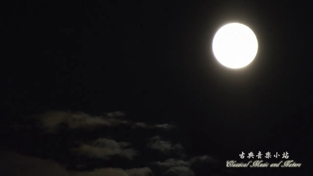 Bach: Violin Sonata in G minor, BWV 1001, Presto