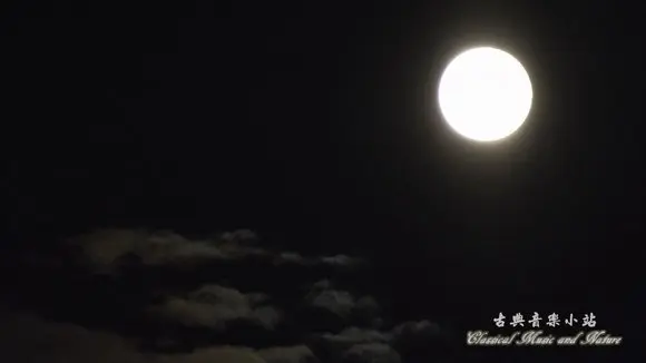 Bach: Violin Sonata in G minor, BWV 1001, Presto