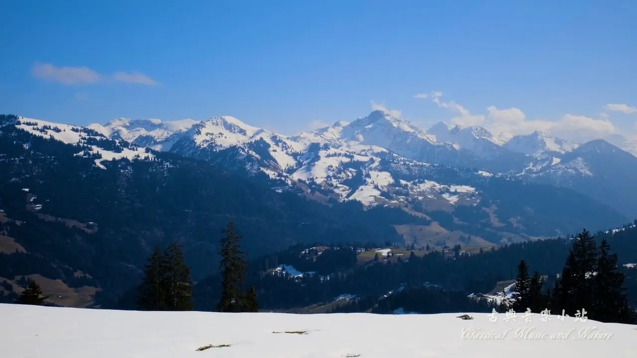 Mozart: Ein Musikalischer Spass - IV. Presto. (Sonata rondo form)