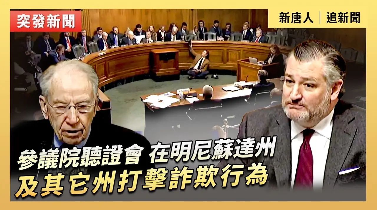 參議院聽證會：在明尼蘇達州及其它州打擊詐欺行為