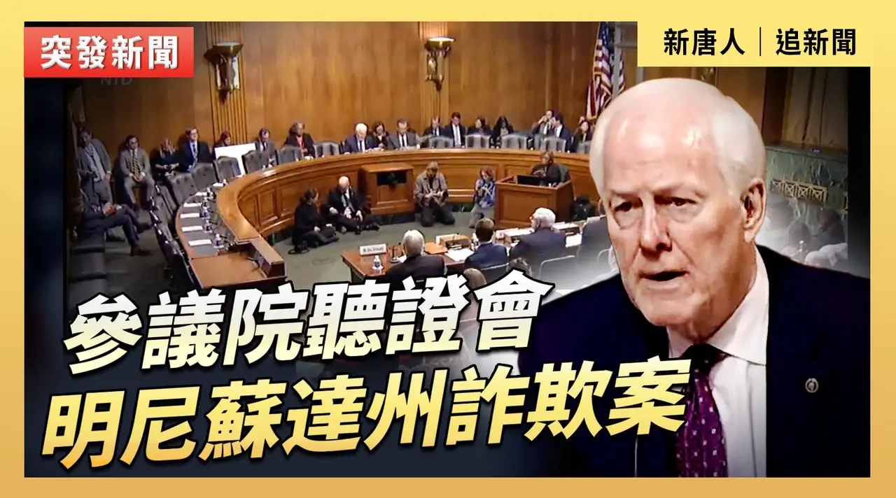 參議院聽證會：明尼蘇達州詐欺案