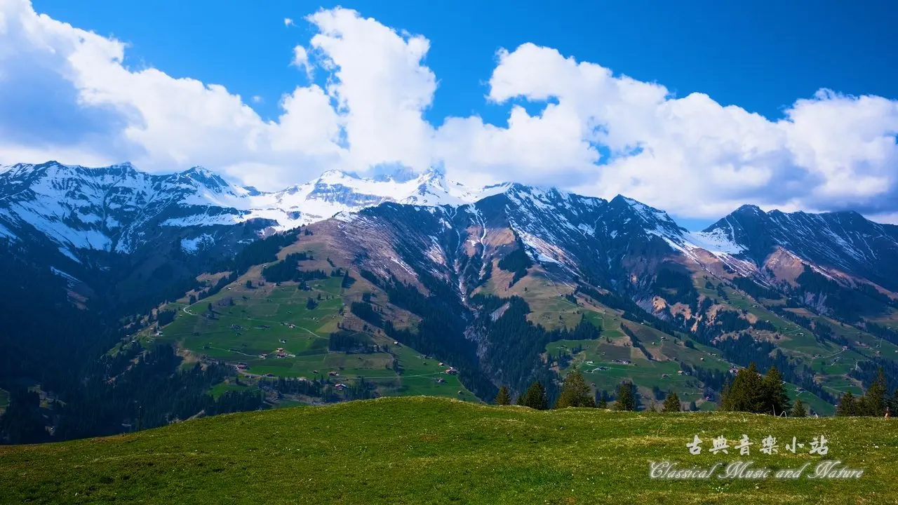 Bach: Flute Sonata in Bm, BWV 1030