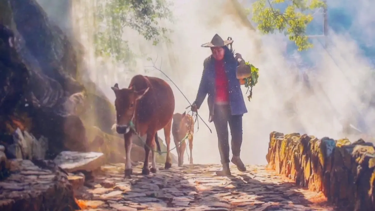 Пейзажи и гуманизм стали темами международного фотоконкурса NTD