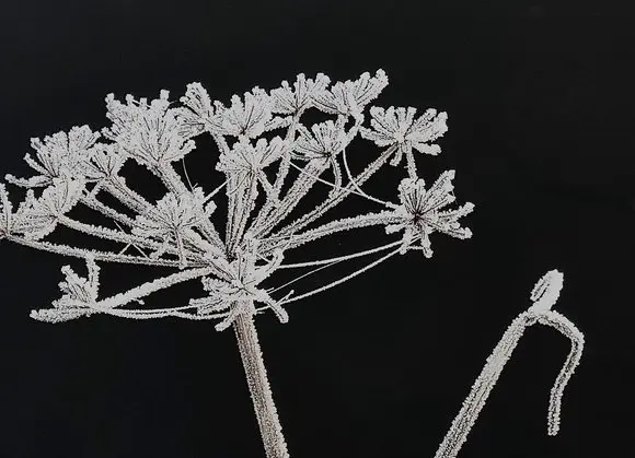 Meine Sicht der Dinge – Winter 2026